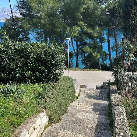 Dino Appartamento