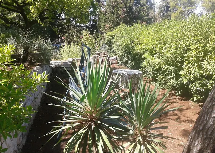 Dino ספליטסקה