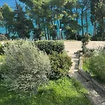 Dino *